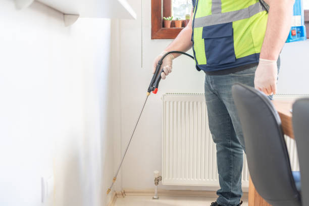 Best Wasp Removal Services  in North Myrtle Beach, SC