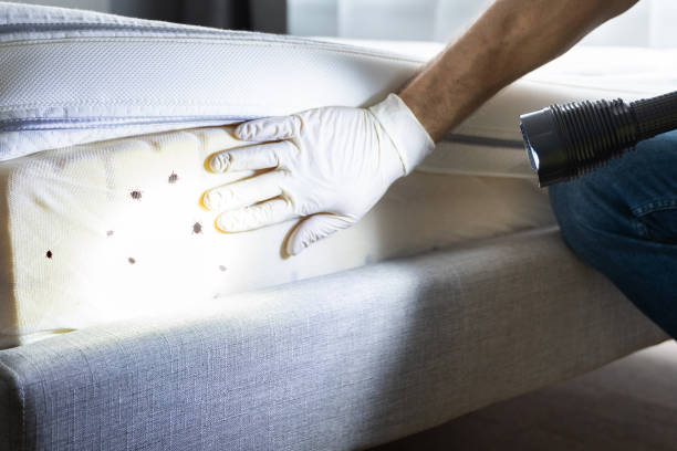 Best Pest Prevention Services  in North Myrtle Beach, SC