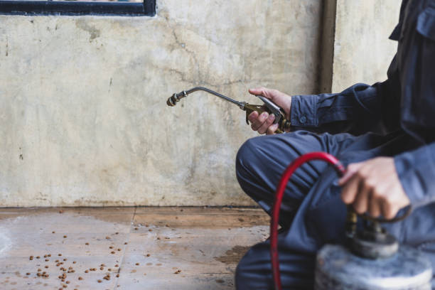 Best Best Pest Control Companies  in North Myrtle Beach, SC
